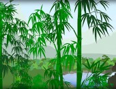 Bamboo Lotion; elimina la suciedad con auténtico bambú